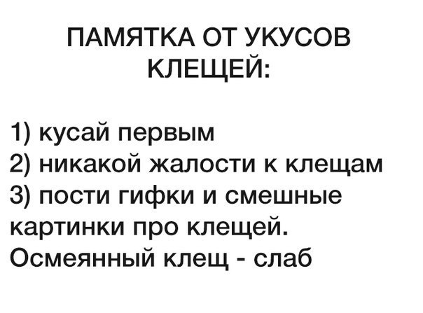 Смешные комментарии из социальных сетей 10.06.2016