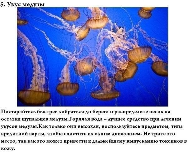 Подборка интересных и смешных картинок