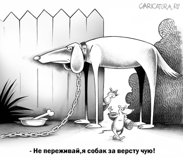 Карикатуры всякие-разные