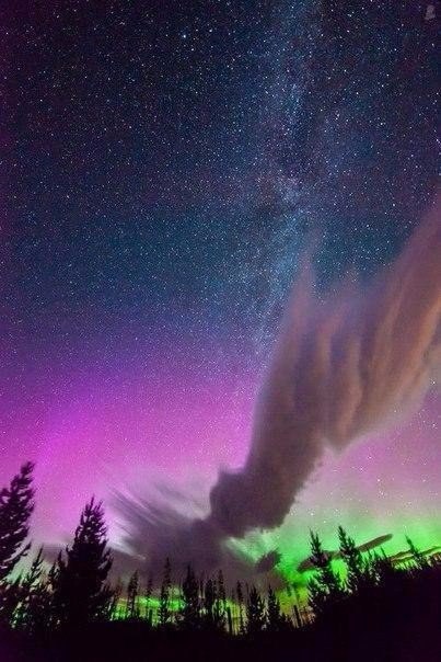 Моменты, запечатлённые на фото и просто позитив 5
