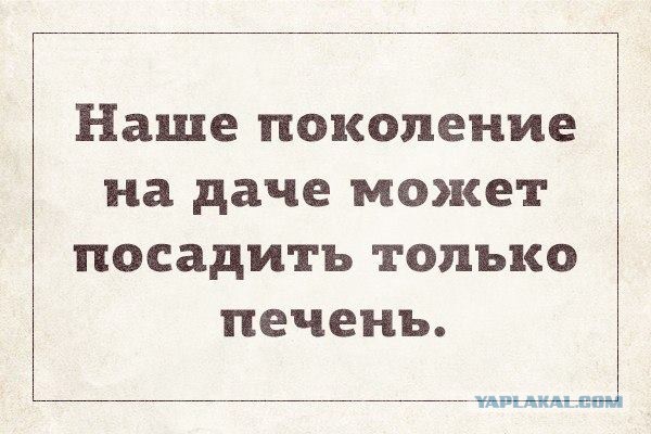 Деградации ЯПу