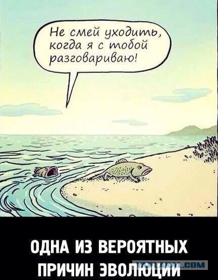 Веселая подборка демотиваторов