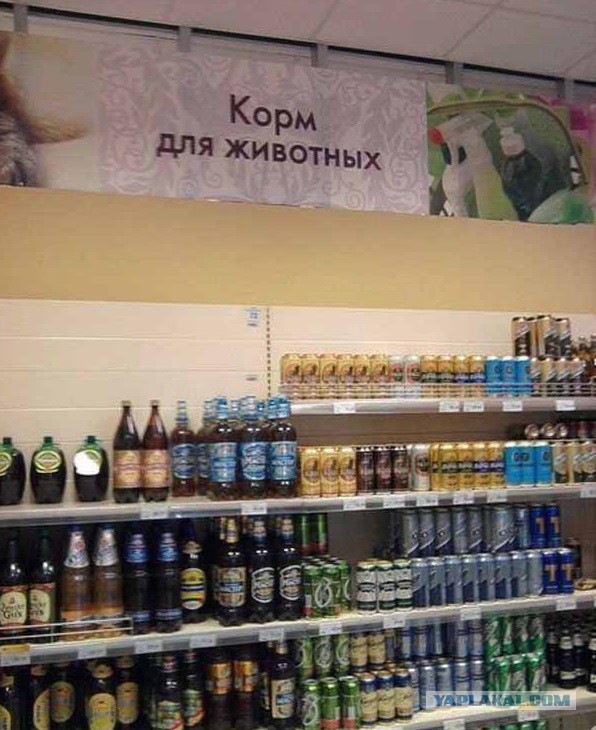 Боги маркетинга снова в бою
