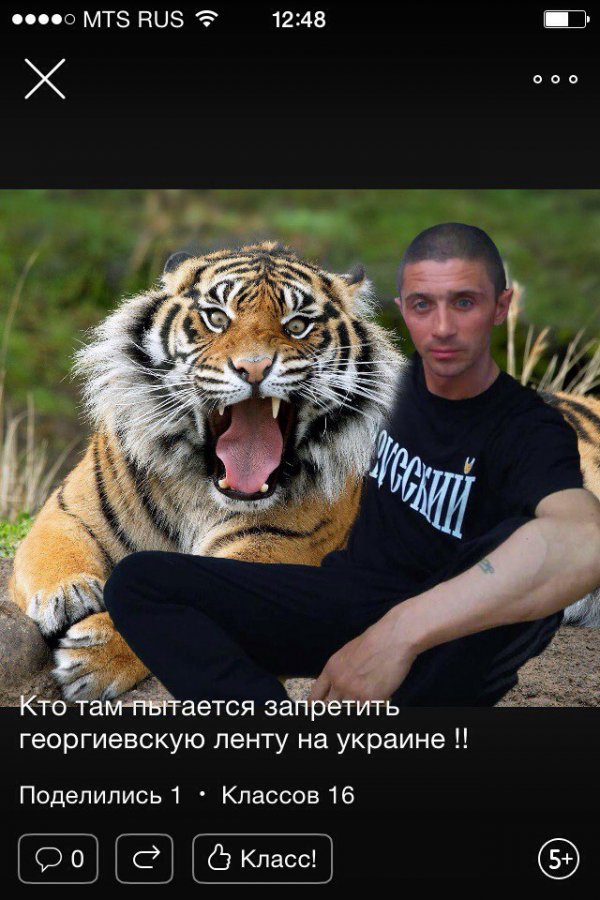 Трешак и вакханалия из соцсетей