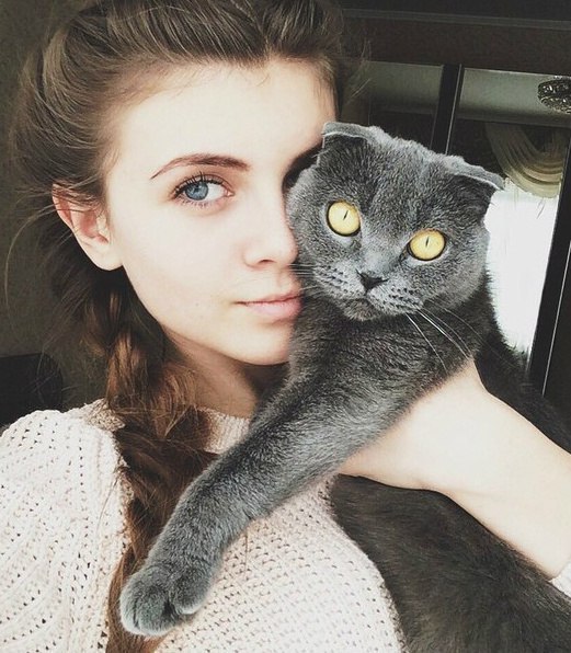 Коты и Кошки