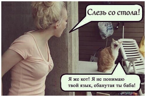 Чем так воняет?