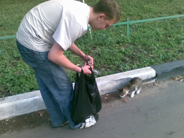 Живность из сети