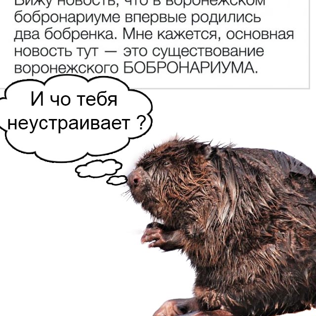 Люди, которым повезло с чувством юмора