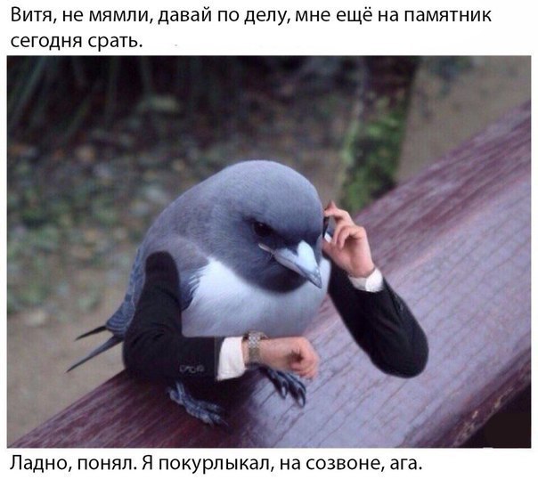 Юмор не для всех