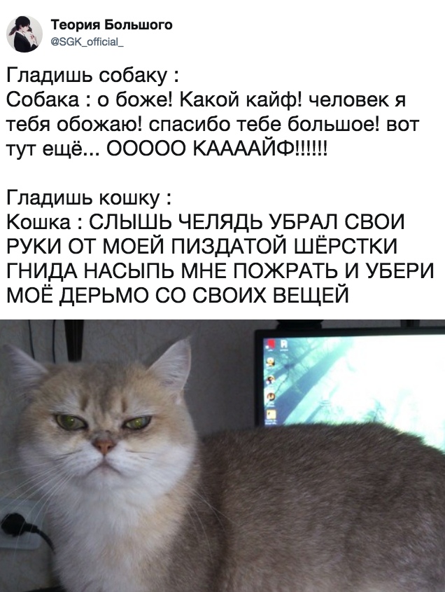 Нестандартный юмор