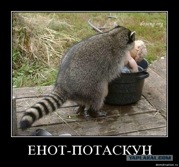Черепашка, дай печеньку!