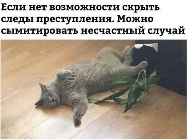 Немного милоты