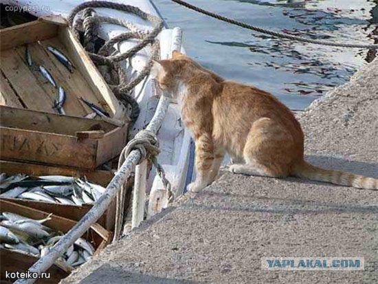 Я её поймал...