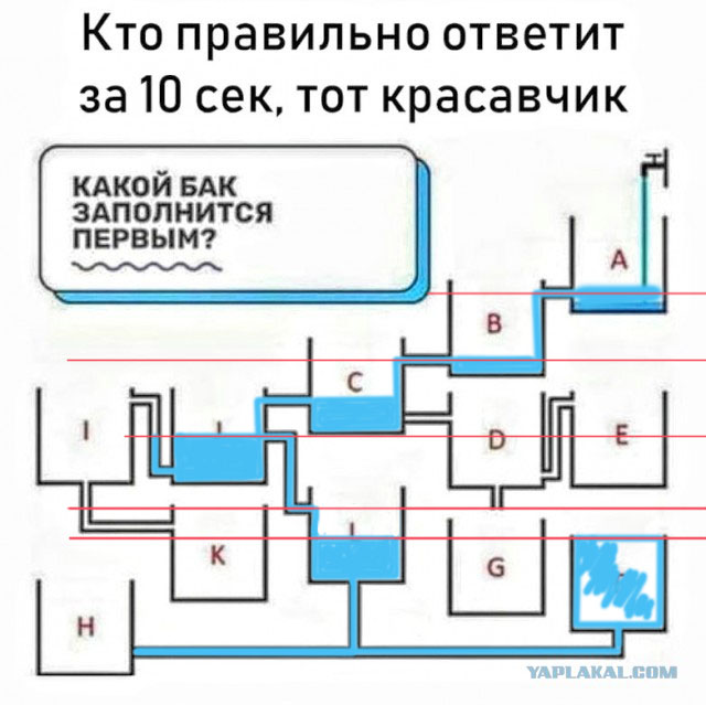 Анекдоты, соц-сети и картинки с надписями