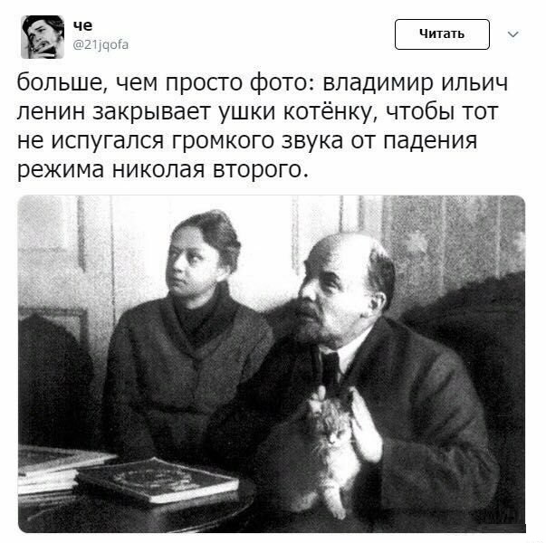 Анекдоты, соц-сети и картинки с надписями