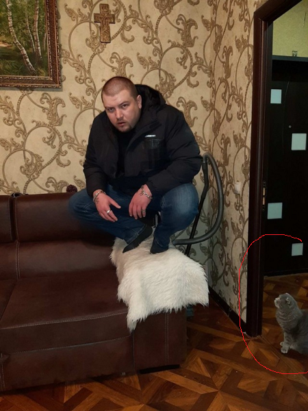 Скотсети и прочие интернеты 06.12.19