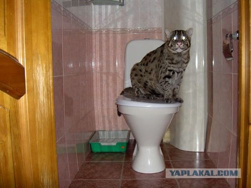 Отжабьте меня пожалуйста