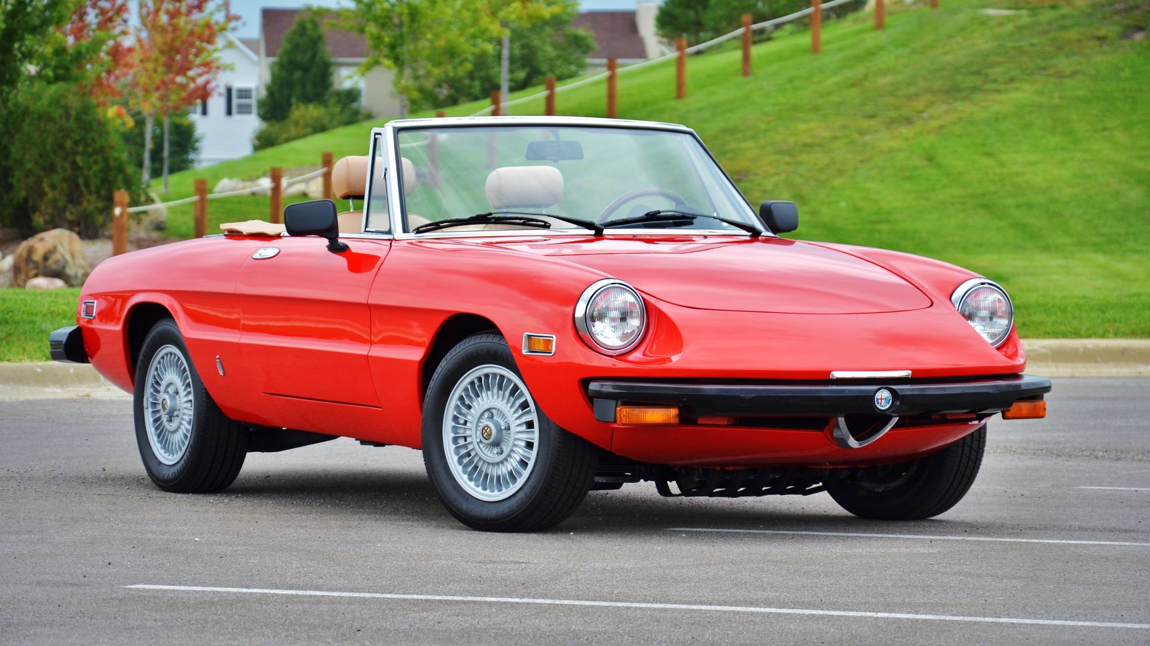 Alfa romeo ferrari