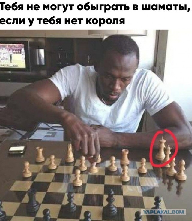 Весёлый полтишок 20.03