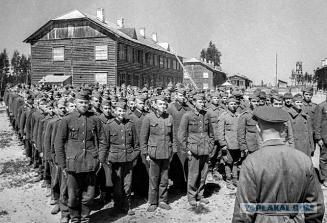 В 1941 обычный полковник предвидел и объяснил страшные поражения Красной армии