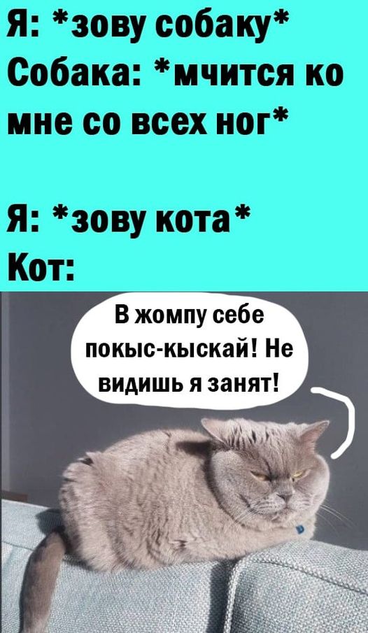 Картинки на выходные 17.10.21