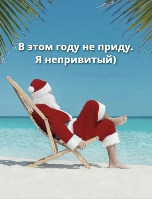 Путин выступил против введения ограничений с QR-кодами под Новый год