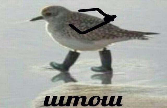 Столько много новостей про хохлов...