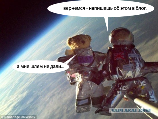 Мишки - космонавты