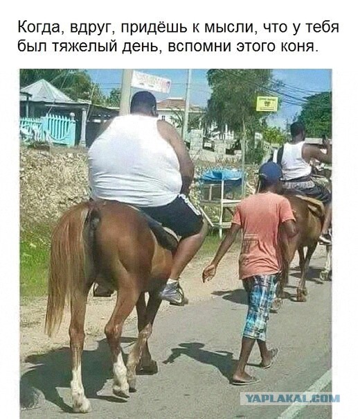 50 оттенков серого. V0l.12 Или  самосвал баянов.  50 штук .
