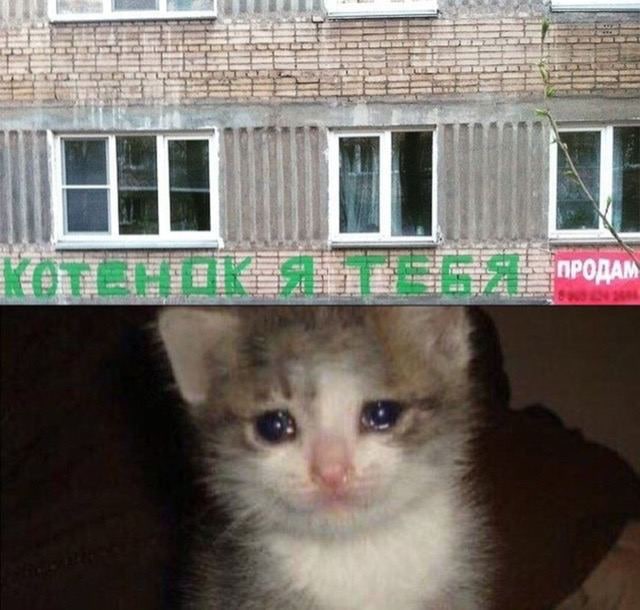 Картинки аморальные и всякие разные - 33