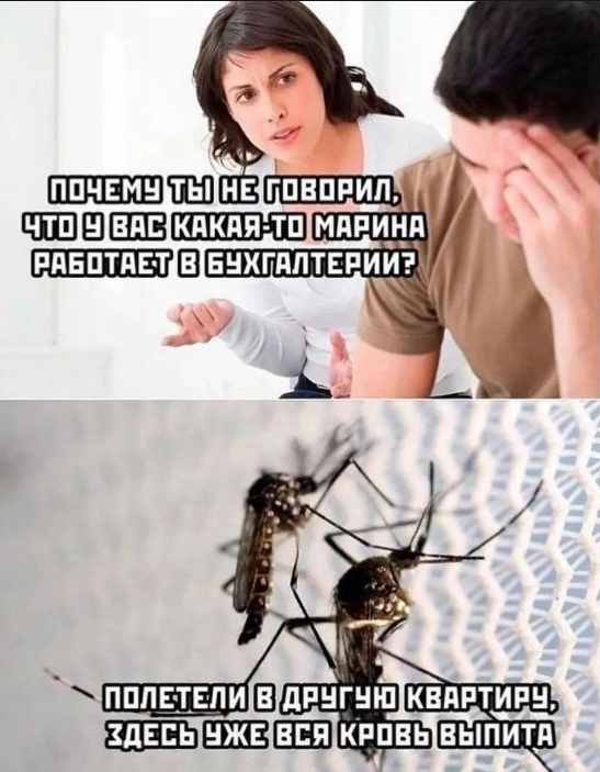 И вновь среда, дорогие деграданты