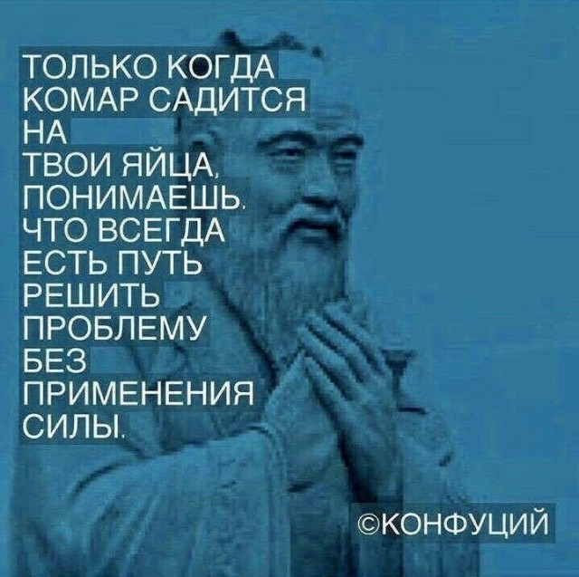 Весёлый полтишок 11.08.22