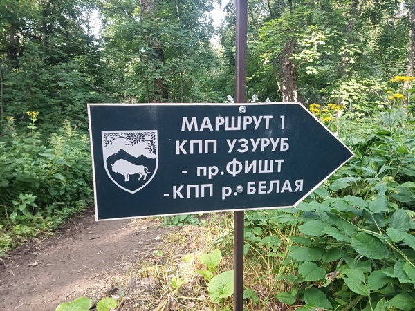 Фишт