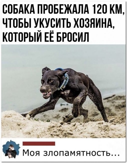 Скриншоты и комментарии из социальных сетей 06.09.22