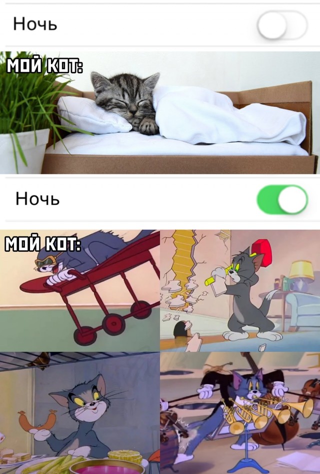 Картинки и мемы. Выходные близко...