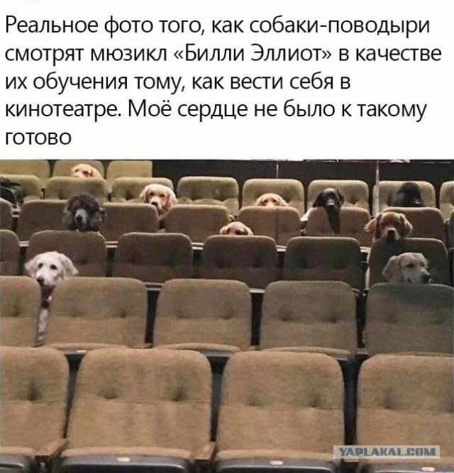 Так себе картинки 07.01.2023