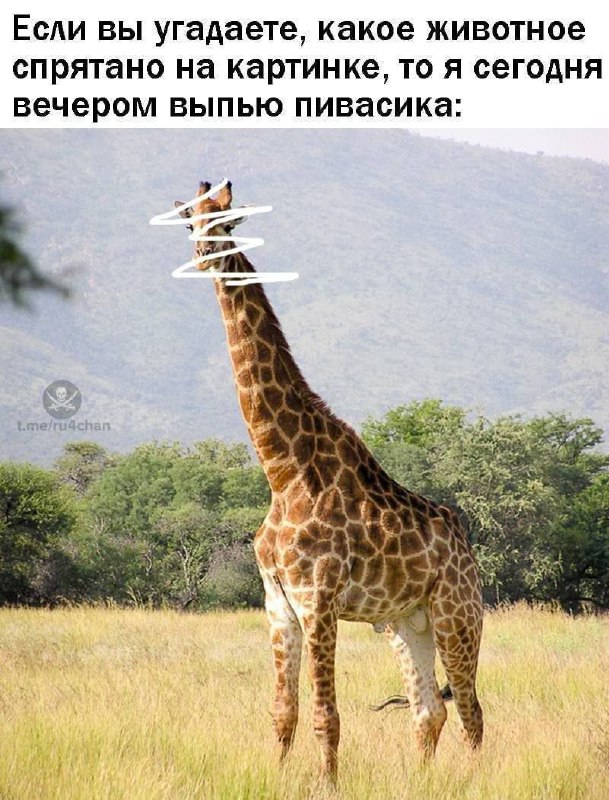 Картинки и мемы, это май-чародей всяко разно - 177