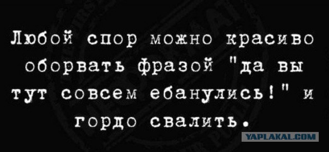Всего понемногу. От 03.08.23