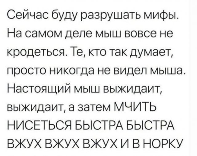 Так себе картинки 27.09.2023