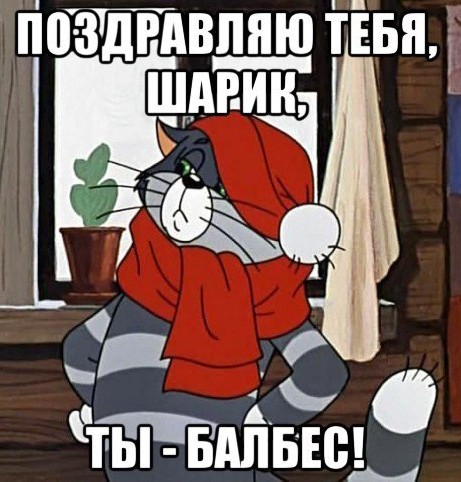 У петуха явно появились вопросы