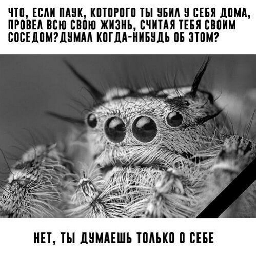 Недопятница 09-11-2023
