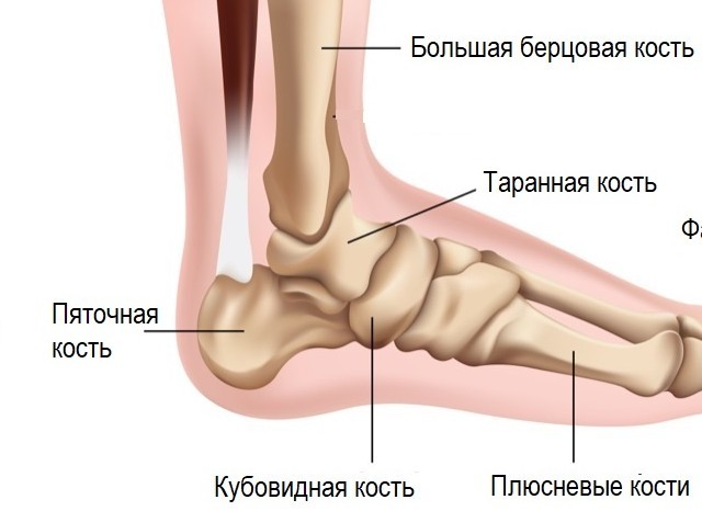 Охотник не всегда должен стрелять!
