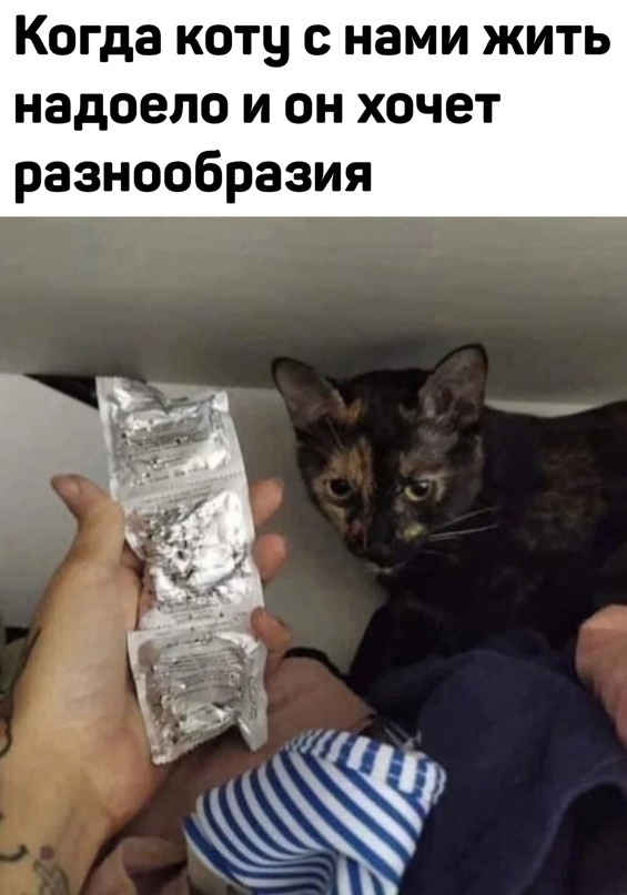 Пятница-жжжж... Баяны-жжжж...