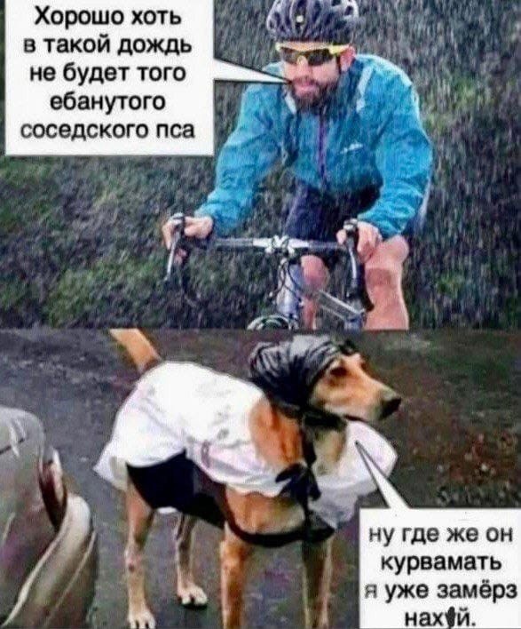 Баяны, возможно с мезозоя