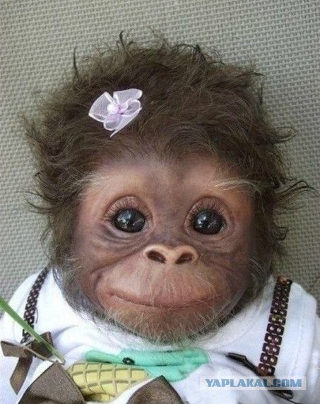 Женщин не понять......