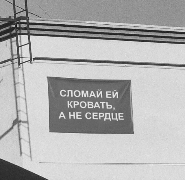 Так себе картинки 15.10.24