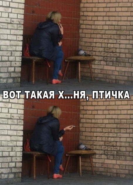 Тут даже Балабанов охренел бы