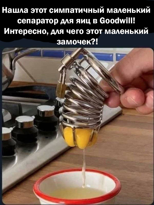20251208.jpg
