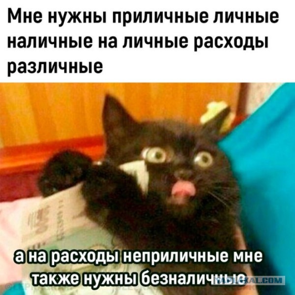 Веселые картинки в понедельник (11.08)