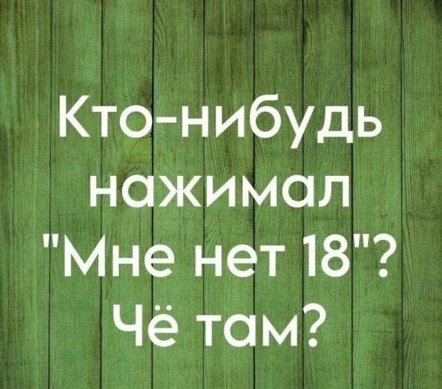 20385208.jpg
